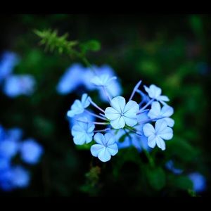 Meet your Posher, Jillian